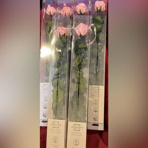 Verdissimo Preserved Rose Set